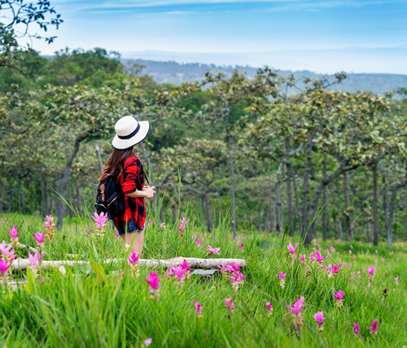 A Day Among the Flower Farms of Chennai